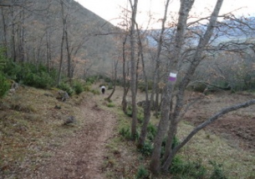 ruta de senderismo con salida y llegada a Torrecilla En Cameros