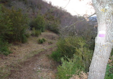 ruta de senderismo con salida y llegada a Torrecilla En Cameros
